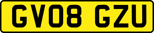 GV08GZU