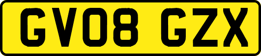 GV08GZX