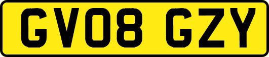 GV08GZY