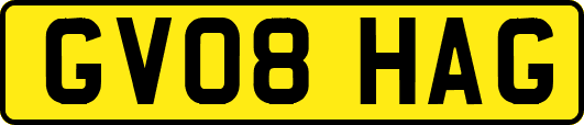 GV08HAG