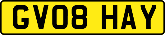 GV08HAY