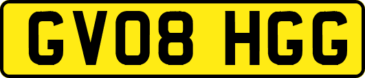 GV08HGG
