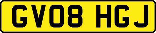 GV08HGJ