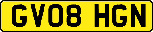 GV08HGN