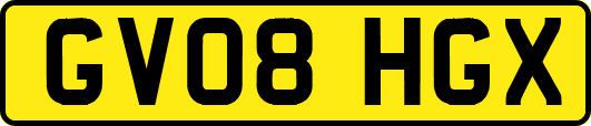 GV08HGX