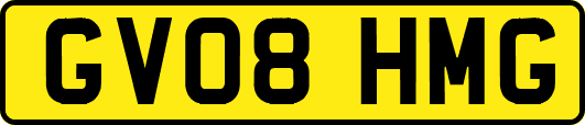 GV08HMG