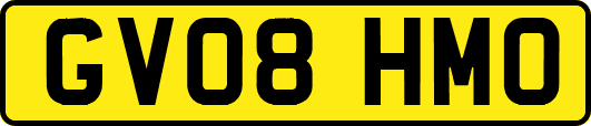 GV08HMO