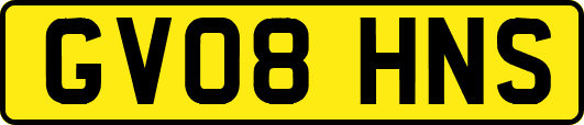GV08HNS