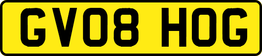 GV08HOG
