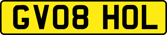 GV08HOL