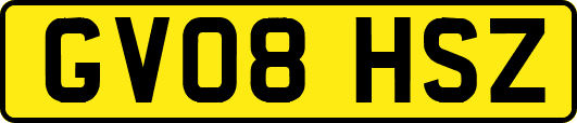 GV08HSZ