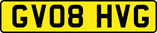 GV08HVG