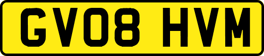 GV08HVM