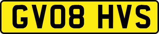 GV08HVS