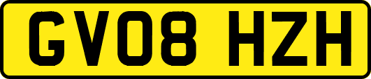 GV08HZH