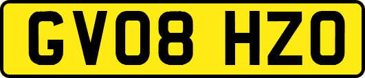 GV08HZO