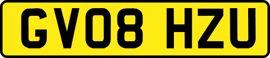 GV08HZU