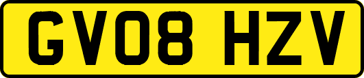 GV08HZV