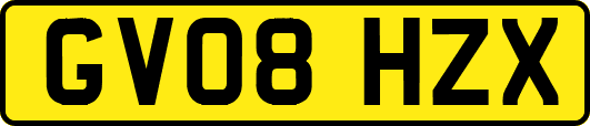 GV08HZX