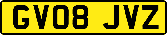 GV08JVZ
