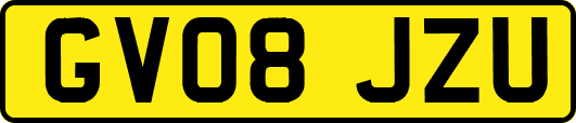 GV08JZU