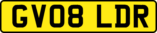 GV08LDR