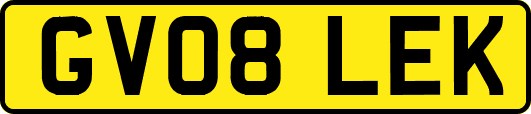 GV08LEK