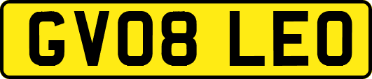 GV08LEO