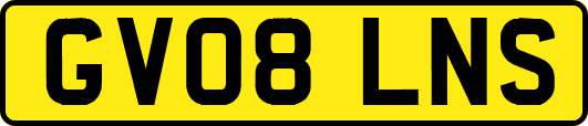 GV08LNS