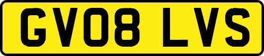 GV08LVS