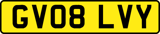 GV08LVY