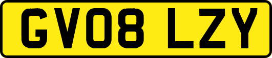 GV08LZY