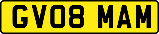 GV08MAM