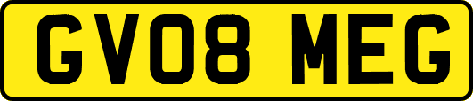 GV08MEG