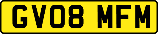 GV08MFM