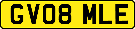 GV08MLE