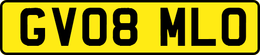 GV08MLO