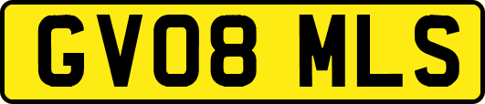 GV08MLS