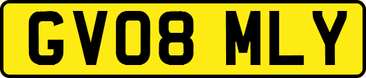 GV08MLY