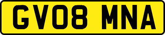 GV08MNA