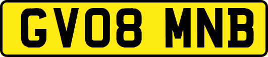 GV08MNB