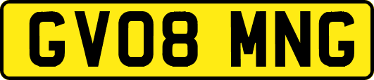 GV08MNG