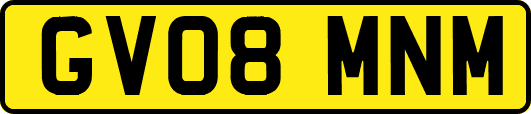 GV08MNM