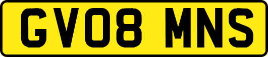 GV08MNS