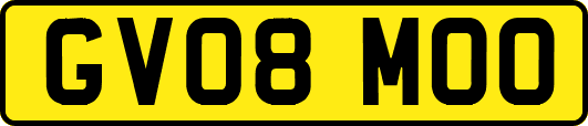 GV08MOO