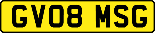 GV08MSG