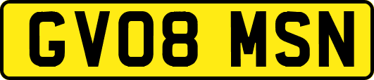 GV08MSN
