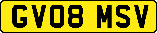 GV08MSV