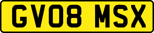 GV08MSX