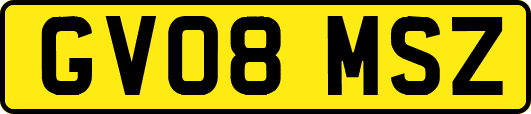 GV08MSZ